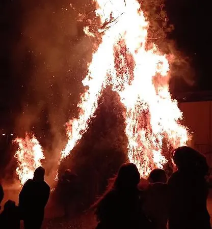 Διαμέρισμα Cal Ferrer D'herbers Herbes